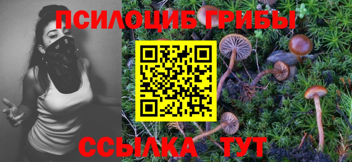 Галлюциногенные грибы Magic Shrooms  Вход с VPN  Бахчисарай  Псилоцибиновые грибы MAGIC MUSHROOMS 